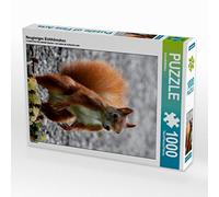 CALVENDO Puzzle Neugieriges Eichhörnchen 1000 Teile Puzzle Hoch 1000 Pieces 48 x 64 cm from SchnelleWelten