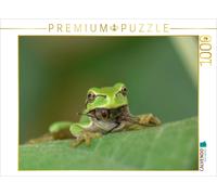 CALVENDO Puzzle Never give up | 1000 pieces, finished size 25.2 × 18.9 in (64 ×