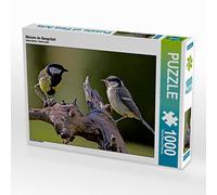 CALVENDO Puzzle Nichons en Conversation 1000 Pieces 64 x 48 cm from Karin Dietzel
