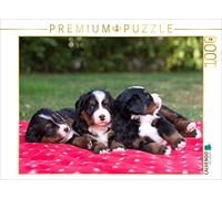 CALVENDO Puzzle Niedliche Berner Sennenhund Welpen 1000 Teile Puzzle quer 1000 Pieces 64 x 48 cm from Annett Mirsberger