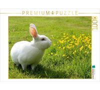 CALVENDO Puzzle Niedliche Kaninchen 1000 Teile Puzzle quer | 1000 pieces, finish