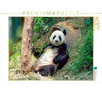 CALVENDO Puzzle Niedlicher Panda 1000 Teile Puzzle quer 1000 Pieces 64 x 48 cm from Peter Roder