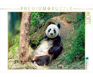 CALVENDO Puzzle Niedlicher Panda 1000 Teile Puzzle quer 1000 Pieces 64 x 48 cm from Peter Roder