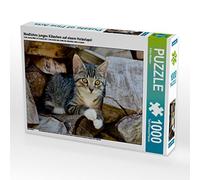 CALVENDO Puzzle Niedliches junges Kätzchen Auf einem Holzstapel 1000 Teile Puzzle quer 1000 Pieces 64 x 48 cm from Katho Menden