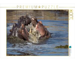 CALVENDO Puzzle Nilpferde 1000 Teile Puzzle quer 1000 Pieces 64 x 48 cm from Johann Schörkhuber