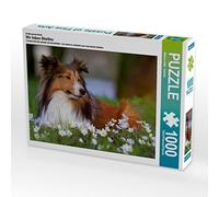 CALVENDO Puzzle Nous Aimons Les Shelties 1000 Pieces 64 x 48 cm from Marion Reiß - Seibert