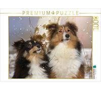 CALVENDO Puzzle Nous Aimons Les Shelties 1000 Pieces 64 x 48 cm from Marion Reiß - Seibert