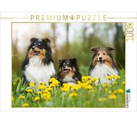 CALVENDO Puzzle Nous Aimons Les Shelties 1000 Pieces 64 x 48 cm from Marion Reiß - Seibert