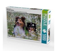 CALVENDO Puzzle Nous Aimons Les Shelties 1000 Pieces 64 x 48 cm from Marion Reiß - Seibert
