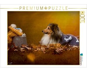 CALVENDO Puzzle Nous Aimons Les Shelties 1000 Pieces 64 x 48 cm from Marion Reiß - Seibert