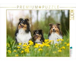 CALVENDO Puzzle Nous Aimons Les Shelties 1000 Pieces 64 x 48 cm from Marion Reiß - Seibert