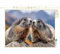 CALVENDO Puzzle Nous Appartenons Ensemble | 1000 pièces Taille de la Pose 64 * 48cm Photo Puzzle pour Heures de Bonheur
