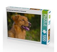 CALVENDO Puzzle Nova Scotia Duck Tolling Retriever Male Portrait 1000 Pieces 64 x 48 cm from Sista-Tierfoto