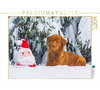 CALVENDO Puzzle Nova Scotia Duck Tolling Retriever Noël 1000 Pieces 64 x 48 cm from Sista-Tierfoto
