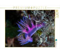 CALVENDO Puzzle Nudibranche en mer Méditerranée 1000 Pieces 64 x 48 cm from Dieter Gödecke