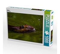 CALVENDO Puzzle Nutria 1000 Pieces 64 x 48 cm from PuraVida