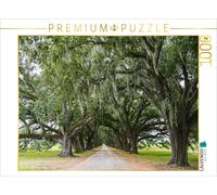 CALVENDO Puzzle Oak avenue with Louisiana moss | 1000 pieces, finished size 25.2
