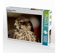 CALVENDO Puzzle Oiseaux de Proie - Faucon sacre 1000 Pieces 64 x 48 cm from Arno Klatt