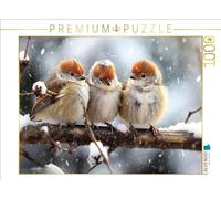 CALVENDO Puzzle Oiseaux, Nous regroupons | 1000 pièces de Taille de la Pose 64 x 48 cm Puzzle Photo pour des Heures heureuses