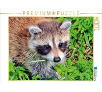 CALVENDO Puzzle Omnivore Mignon - Raton Laveur 1000 Pieces 64 x 48 cm from Peter Roder