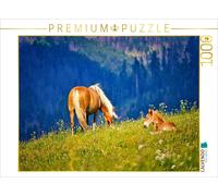 CALVENDO Puzzle on the mountain meadow | 1000 pieces, finished size 25.2 × 18.9