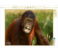 CALVENDO Puzzle Orang Utan Florida 1000 Teile Puzzle quer 1000 Pieces 64 x 48 cm from Erika Müller