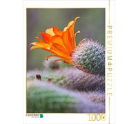 CALVENDO Puzzle Fleur de Cactus Orange 1000 Pieces 48 x 64 cm from Liselotte Brunner-Klaus