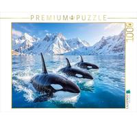 CALVENDO Puzzle Orca Parade dans la mer Polaire | 1000 pièces 64 x 48 cm Photo Puzzle Heures Heures