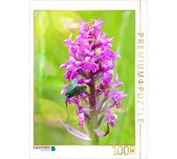 CALVENDO Puzzle Orchidée mâle 1000 Pieces 48 x 64 cm from Sabine Löwer