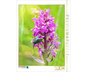 CALVENDO Puzzle Orchidée mâle 1000 Pieces 48 x 64 cm from Sabine Löwer