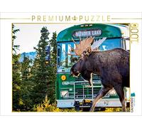 CALVENDO Puzzle Orignal mâle dans Le Parc National de Denali 1000 Pieces 64 x 48 cm from Uwe Bergwitz