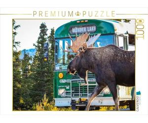 CALVENDO Puzzle Orignal mâle dans Le Parc National de Denali 1000 Pieces 64 x 48 cm from Uwe Bergwitz