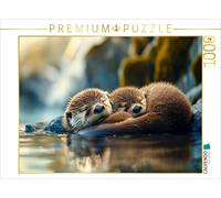 CALVENDO Puzzle Otter | 1000 pieces, finished size 25.2 × 18.9 in (64 × 48 cm) |