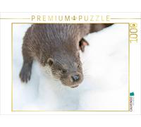 CALVENDO Puzzle Fischotter 1000 Teile Puzzle quer 1000 Pieces 64 x 48 cm from Christian Haidl