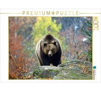 CALVENDO Puzzle Ours Brun 1000 Pieces 64 x 48 cm from GUGIGEI