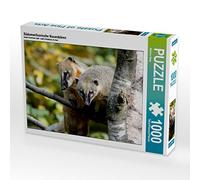 CALVENDO Puzzle Ours du Nez d'Amérique du Sud 1000 Pièces Taille de la Lege 64 x 48 cm Photo Puzzle Image de Martina Berg