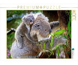 CALVENDO Puzzle Ours Koala avec bébé 1000 Pieces 64 x 48 cm from Renate Bleicher