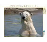 CALVENDO Puzzle Ours Polaire 1000 Pieces 64 x 48 cm from Martina Berg