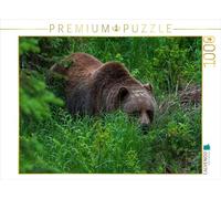 CALVENDO Puzzle Ours Vert | 1000 pièces Taille de la Ponte 64 x 48 cm Puzzle Photo pour des Heures heureuses