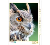 CALVENDO Puzzle Hibou 1000 Pieces 48 x 64 cm from Peter Roder