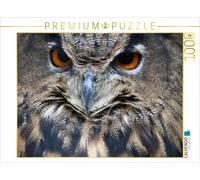 CALVENDO Puzzle Owl | 1000 pieces, finished size 25.2 × 18.9 in (64 × 48 cm) | P