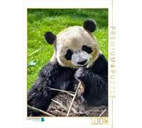 CALVENDO Puzzle Panda 1000 Pieces 48 x 64 cm from Peter Roder