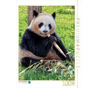 CALVENDO Puzzle Panda 1000 Pieces 48 x 64 cm from Peter Roder