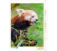 CALVENDO Puzzle Panda Rouge 1000 Pieces 48 x 64 cm from Peter Roder