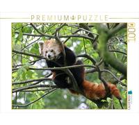 CALVENDO Puzzle Panda Rouge 1000 Pieces 64 x 48 cm from Martina Berg