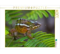 CALVENDO Puzzle Panther Chameleon | 1000 pieces, finished size 25.2 × 18.9 in (6