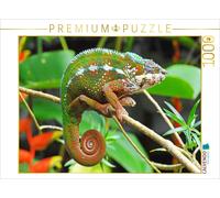CALVENDO Puzzle Panther chameleon in bright colors | 1000 pieces, finished size