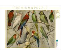 CALVENDO Puzzle Papageien 1000 Teile Puzzle quer 1000 Pieces 64 x 48 cm from Jost Galle