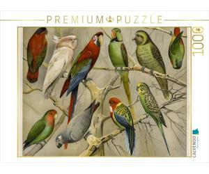 CALVENDO Puzzle Papageien 1000 Teile Puzzle quer 1000 Pieces 64 x 48 cm from Jost Galle
