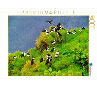 CALVENDO Puzzle Papageitaucher 1000 Teile Puzzle quer 1000 Pieces 64 x 48 cm from Carola Vahldiek